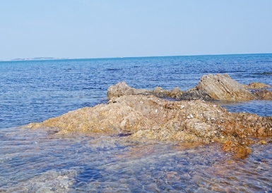 济南工业废气检测